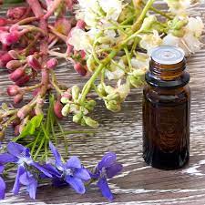 Banner Notas de Fondo EL MEJOR PERFUME Y PERFUMES Y MARCAS