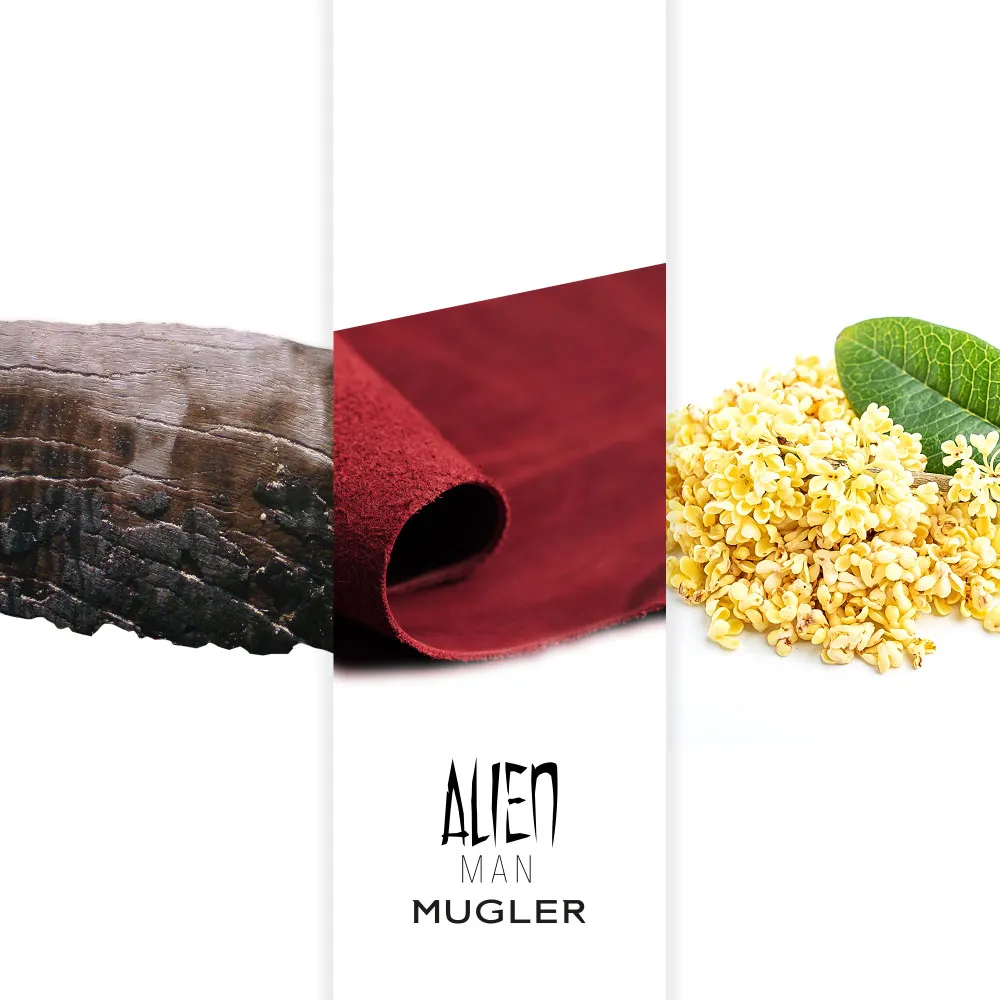 perfume alien man thierry mugler edt-100ml- banner el mejor perfume y perfumes y marcas baratos